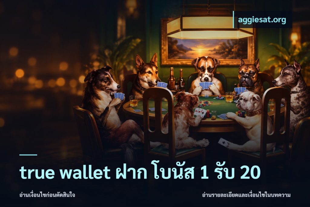true wallet ฝาก โบนัส 1 รับ 20