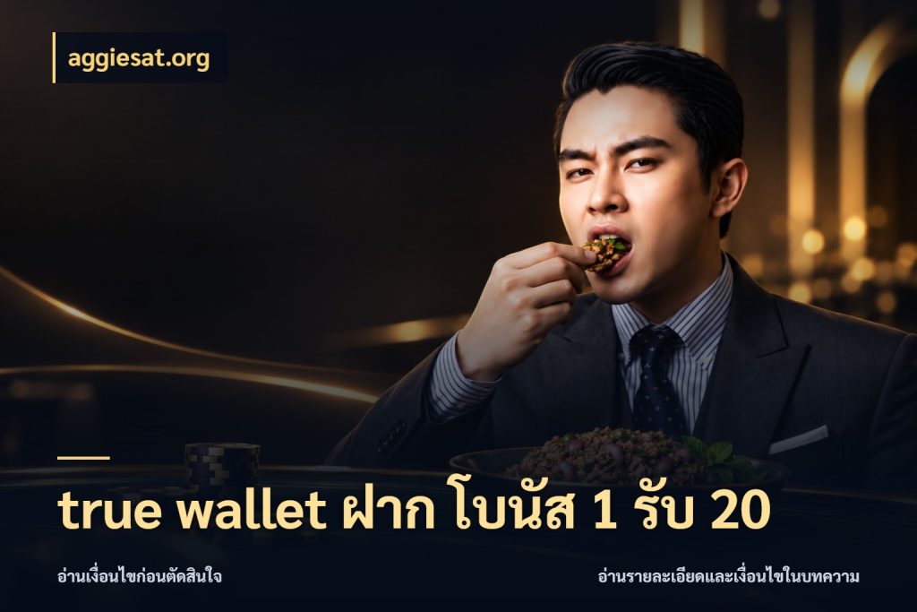 true wallet ฝาก โบนัส 1 รับ 20 โปรยอดรับที่สายเกมสนใจ สไตล์ aggiesat.org