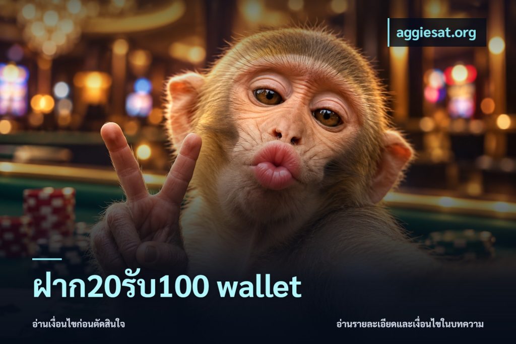 ฝาก20รับ100 wallet