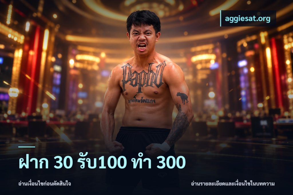 ฝาก 30 รับ100 ทำ 300